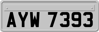 AYW7393