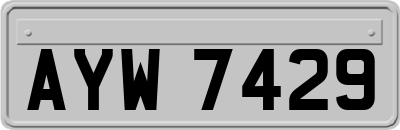 AYW7429