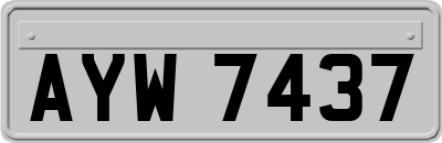 AYW7437