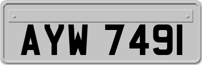 AYW7491