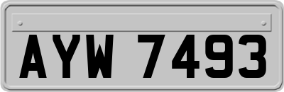 AYW7493