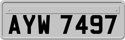 AYW7497