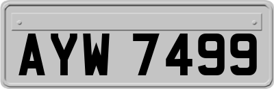 AYW7499