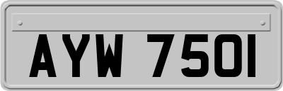 AYW7501