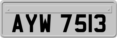 AYW7513