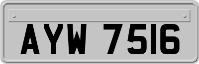 AYW7516