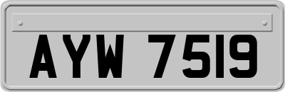 AYW7519