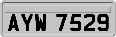 AYW7529