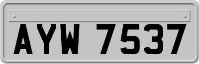 AYW7537