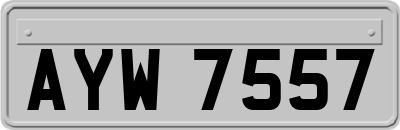 AYW7557