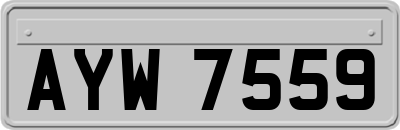 AYW7559