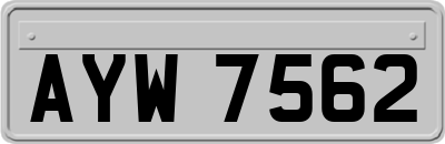AYW7562