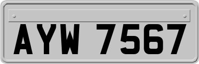 AYW7567