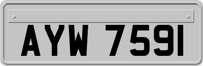 AYW7591