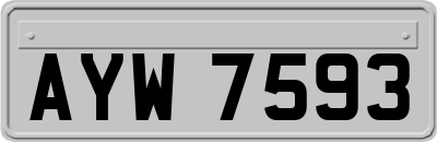 AYW7593