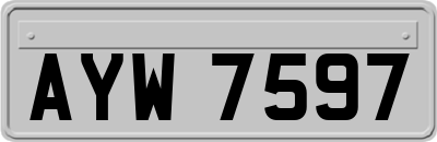 AYW7597
