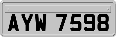 AYW7598