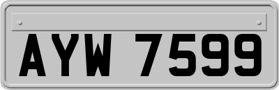 AYW7599