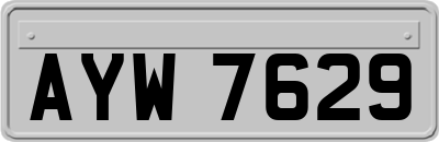 AYW7629