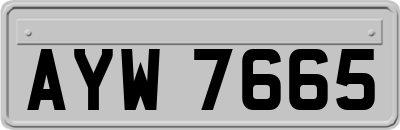 AYW7665