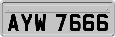 AYW7666
