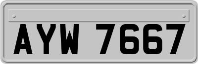 AYW7667