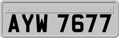 AYW7677