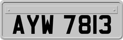 AYW7813