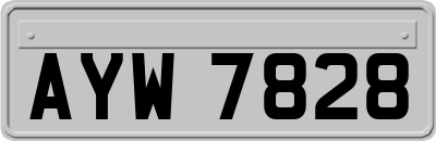 AYW7828