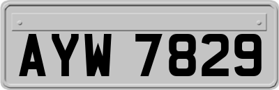 AYW7829