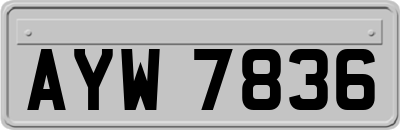 AYW7836