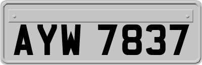 AYW7837
