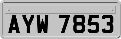 AYW7853