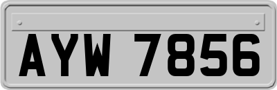 AYW7856