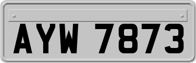 AYW7873