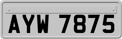 AYW7875