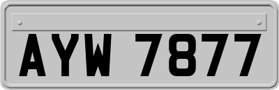 AYW7877
