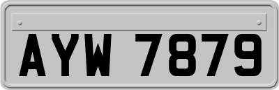 AYW7879