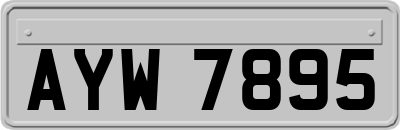 AYW7895