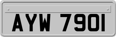 AYW7901