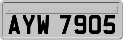 AYW7905