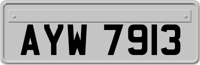 AYW7913
