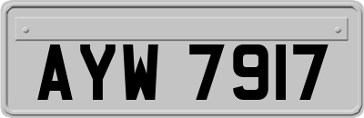 AYW7917