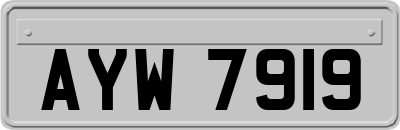 AYW7919