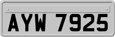 AYW7925