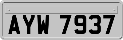AYW7937