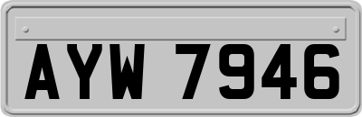 AYW7946