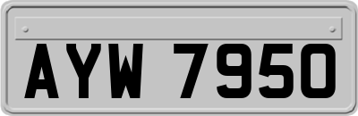 AYW7950