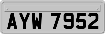 AYW7952