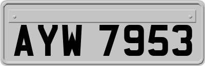 AYW7953